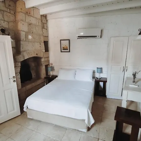 Tashmahal אורחן