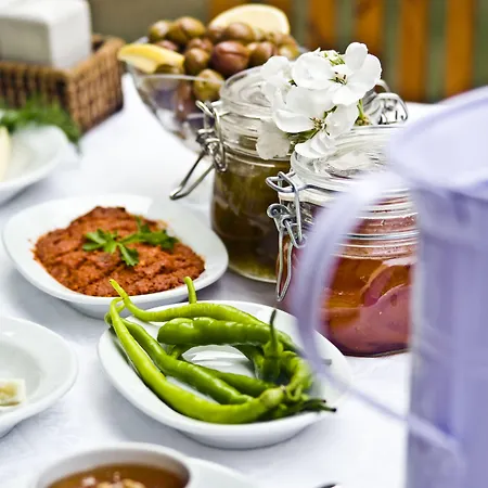 אורחן Tashmahal אלאקאטי