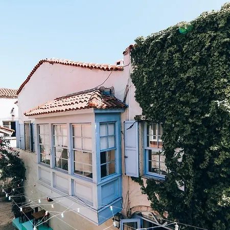 אורחן Tashmahal