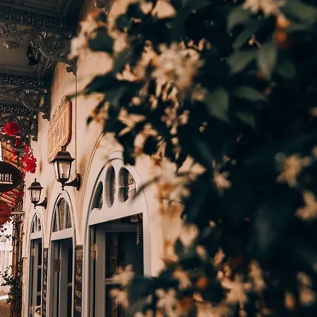 אורחן Tashmahal