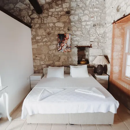 Tashmahal אורחן