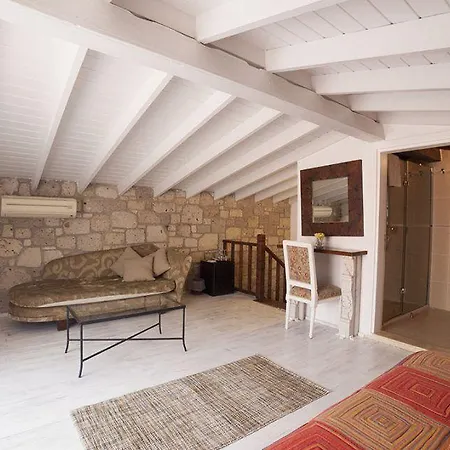 Tashmahal אורחן