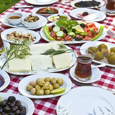 Tashmahal 3* 阿拉恰特